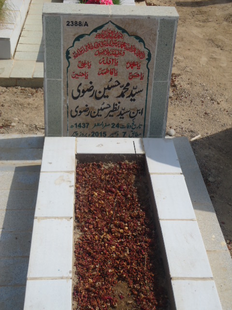 12388 – Syed Muhammad Hussain Rizvi