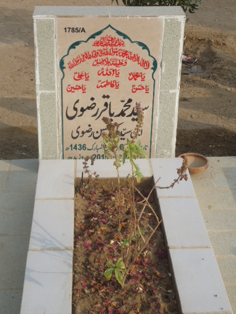 11785 – Syed Muhammad Baqar Rizvi