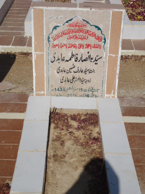 13732 – Syeda Ansar Fatima Abidi