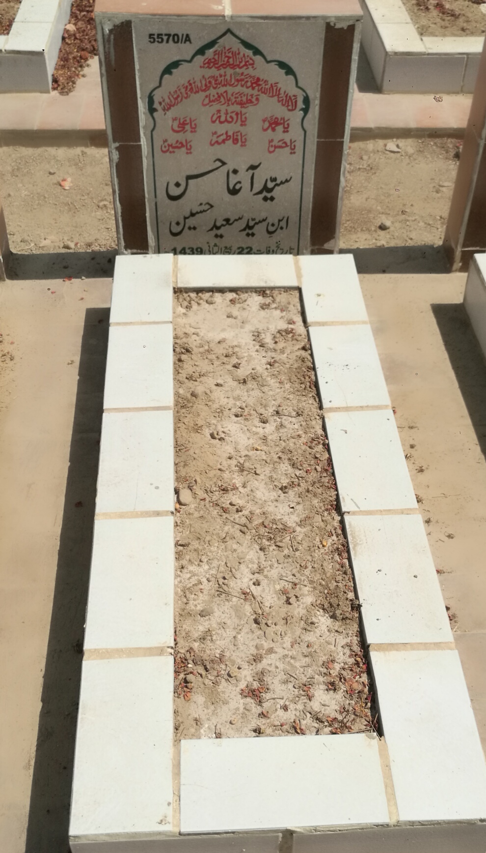15570 – Syed Agha Hassan