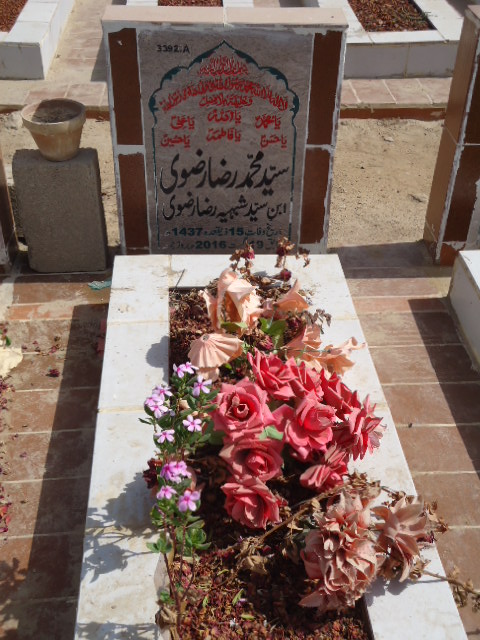 13392 – Syed Muhammad Raza Rizvi