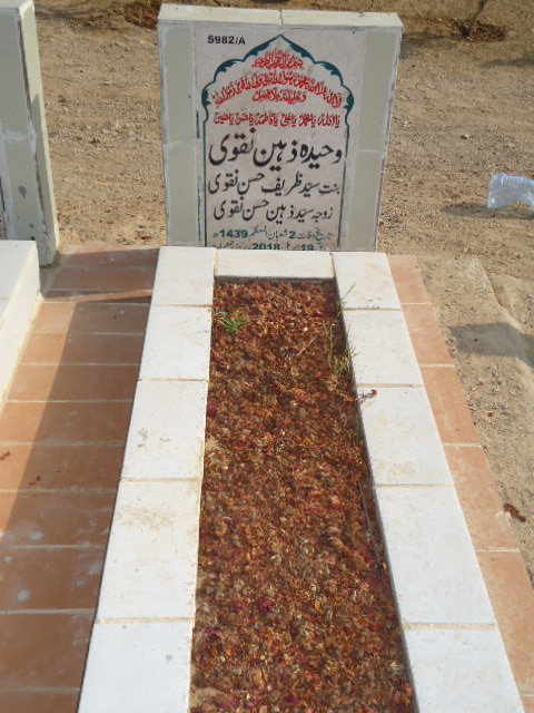 15982 – Waheeda Zaheen Naqvi