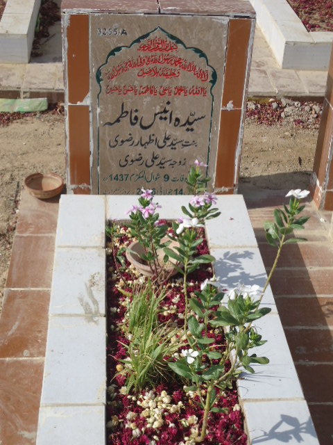 13255 – Syeda Anees Fatima