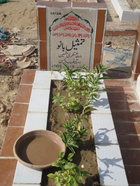 13473 – Tamseel Bano