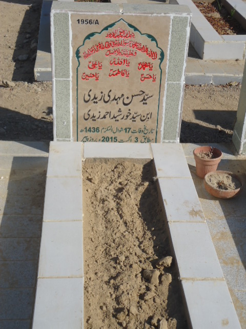 11956 – Syed Hasan Mehdi Zaidi