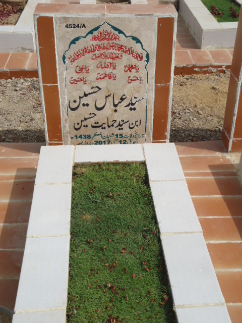 14524 – Syed Abbas Hussain