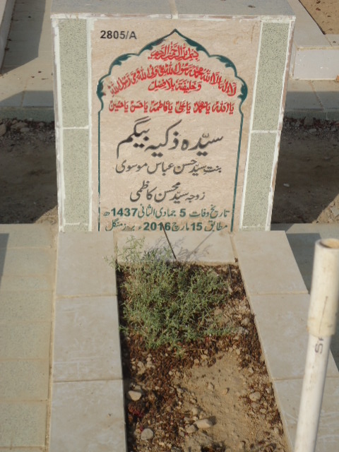 12805 – Syeda Zakiya Begum
