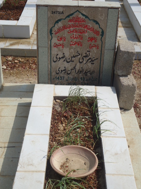 12473 – Syed Murtaza Hussain Rizvi