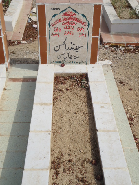 14301 – Syed Nazar Ul Hasnain