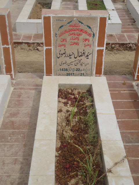 14045 – Syed Afzaal Haider Rizvi