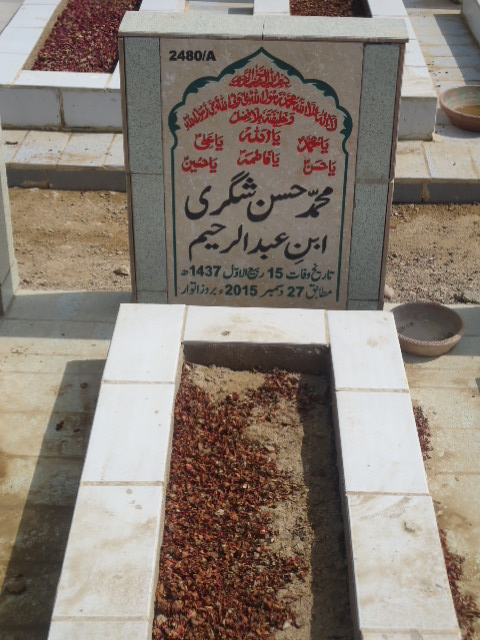 12480 – Syed Hasan Shagri