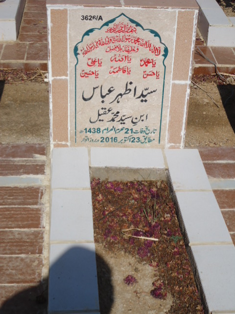 13626 – Syed Azhar Abbas