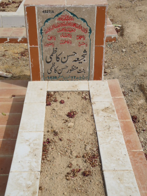 14527 – Shajia Hassan Kazmi