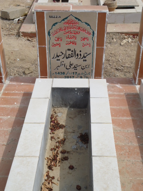 15022 – Syed Zulfiqar Haider