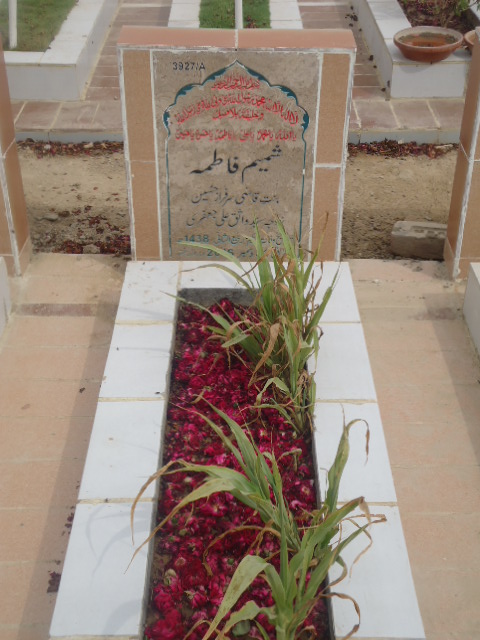 13927 – Shamim Fatima