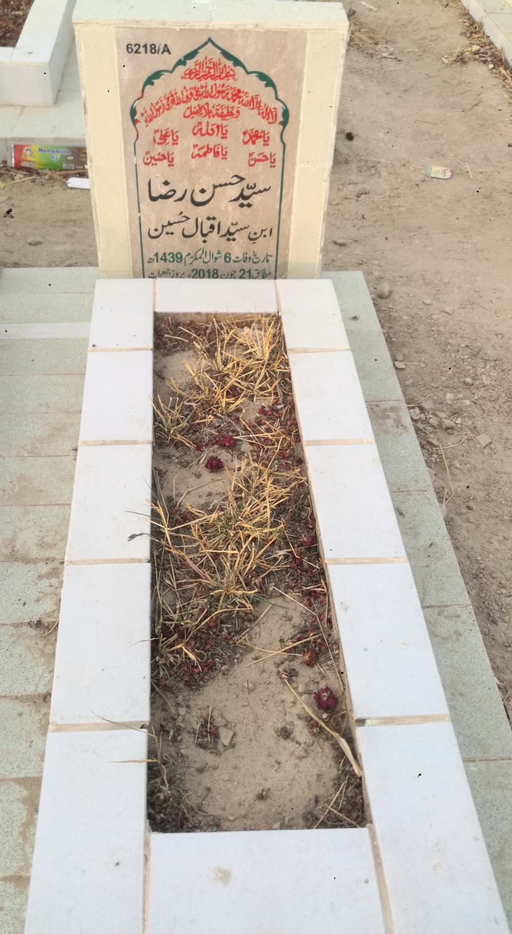16218 – Syed Hassan Raza