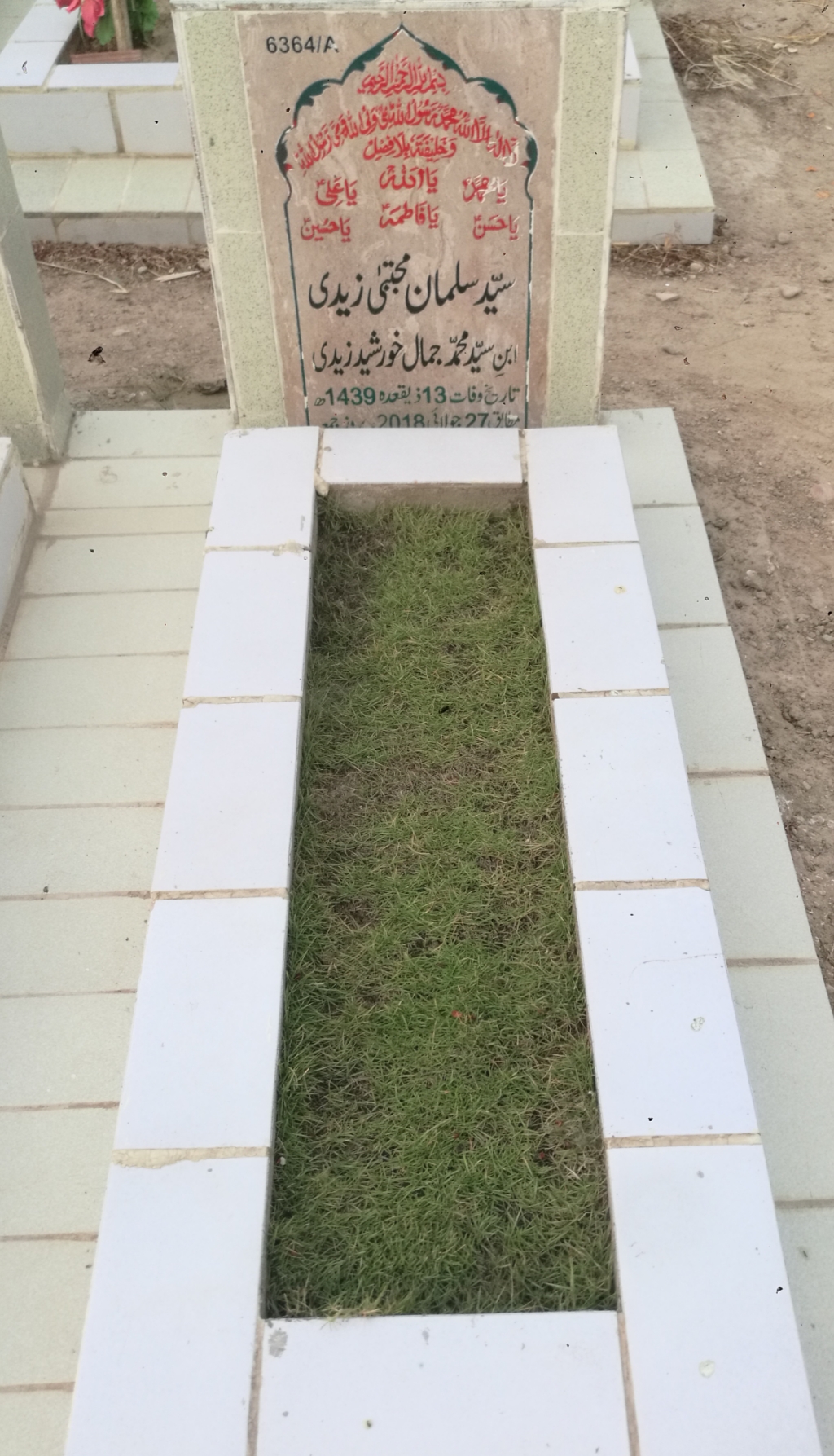 16364 – Syed Salman Mujhtaba Zaidi
