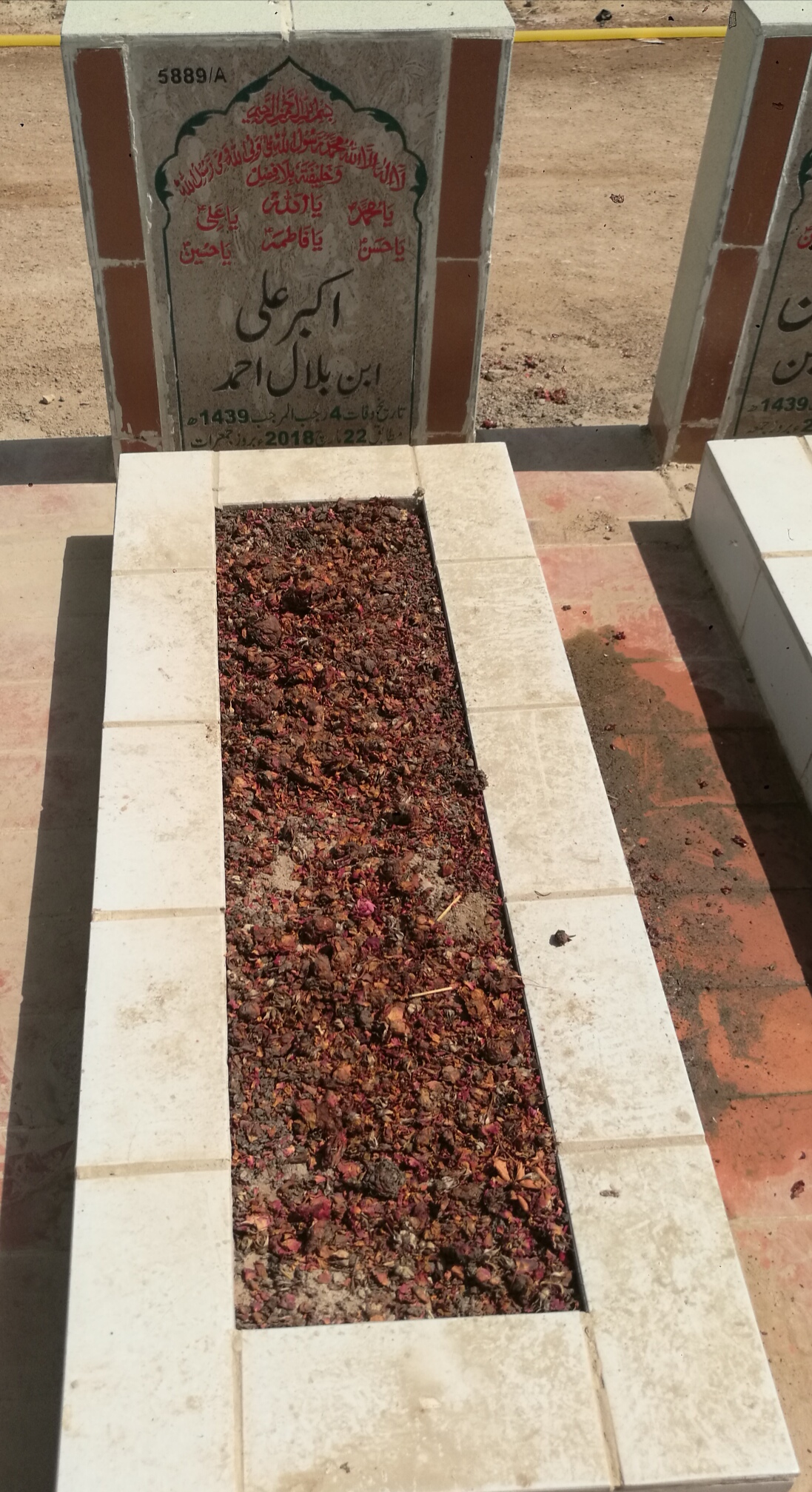 15889 – Akbar Ali
