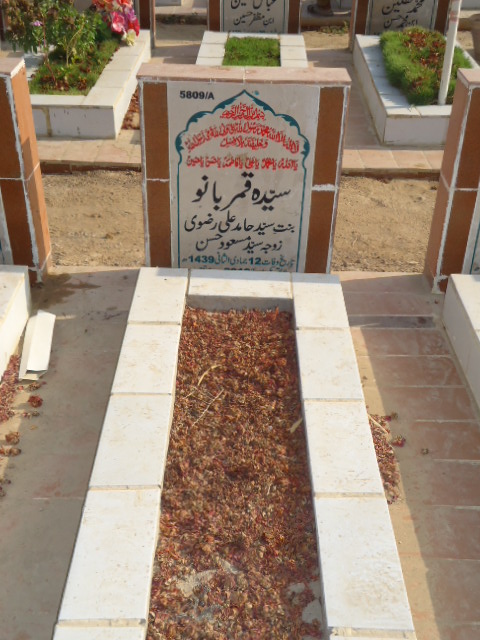 15809 – Syeda Qamar Bano