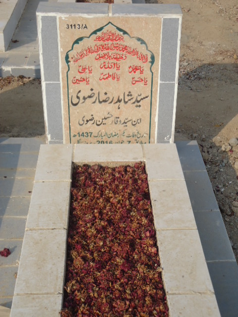 13113 – Syed Shahid Raza Rizvi