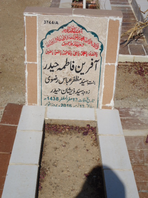 13744 – Afreen Fatima Haider