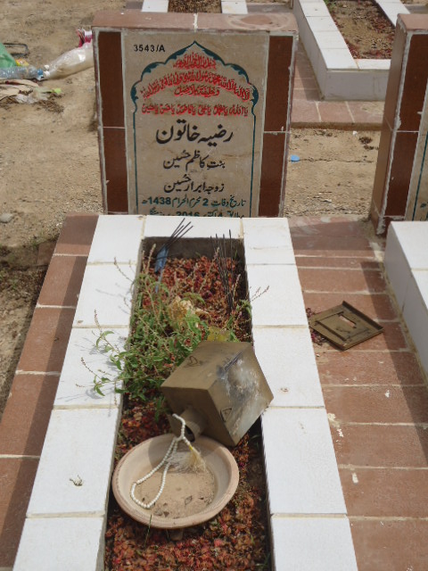 13543 – Razia Khatoon