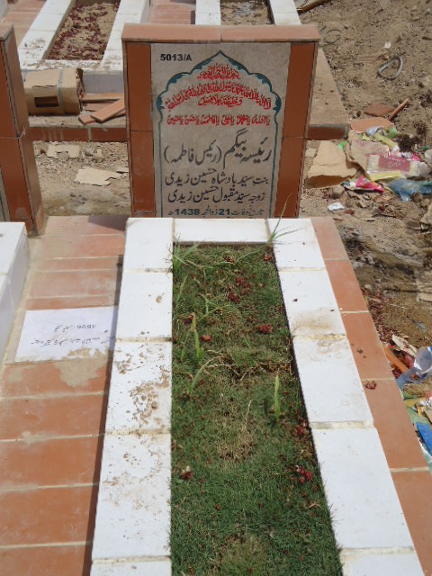 15013 – Raeesa Begum