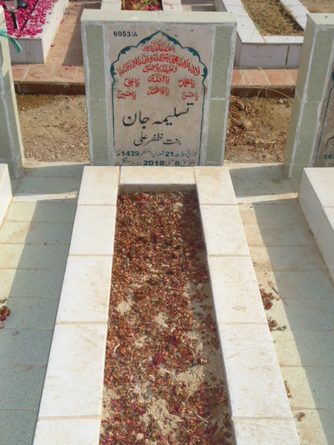 16053 – Tasleema Jan