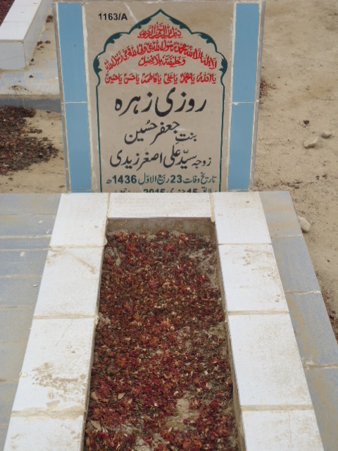 11163 – Rozi Zehra