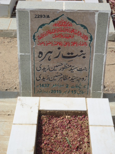 12293 – Binte Zehra