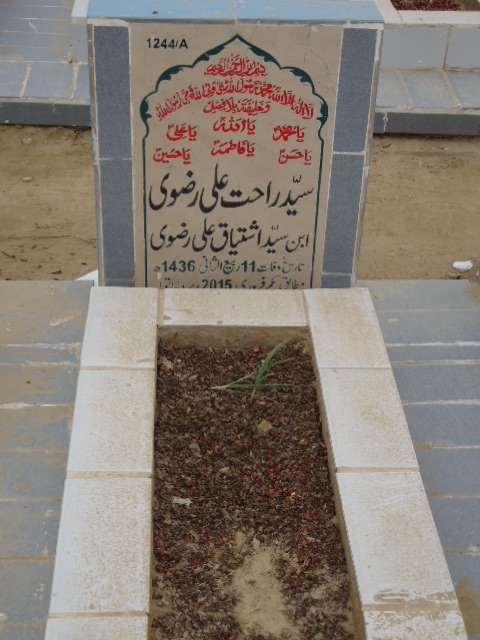 11244 – Syed Rahat Ali Rizvi