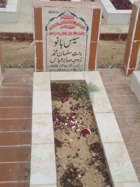 14005 – Syees Bano