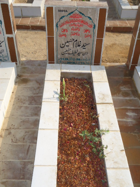 15601 – Syed Ghulam Hussain