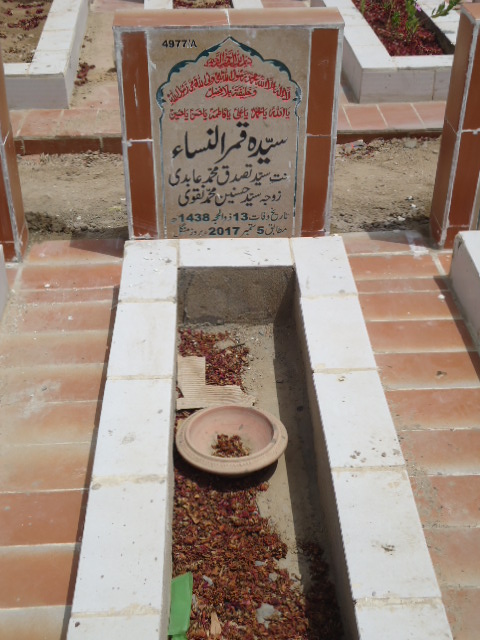 14977 – Syeda Qamar Ul Nisa