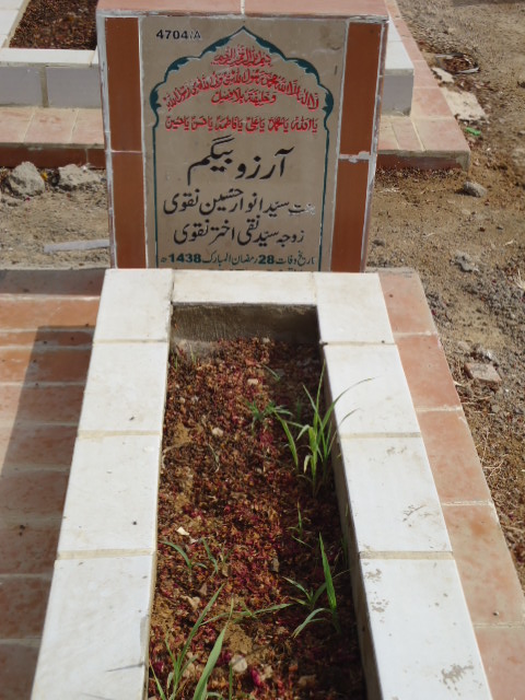 14704 – Arzoo Begum