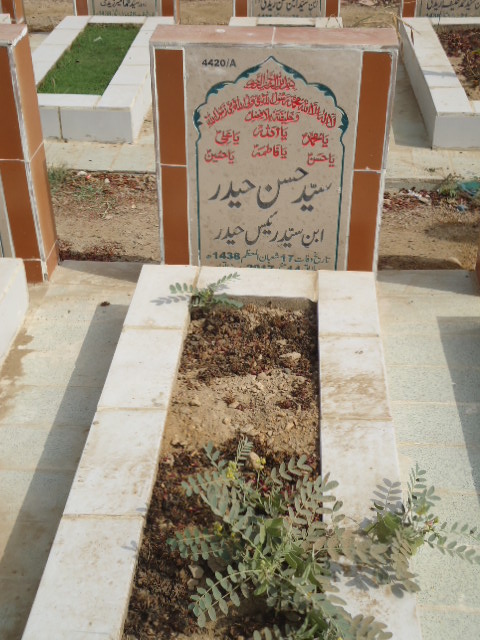 14420 – Syed Hassan Haider