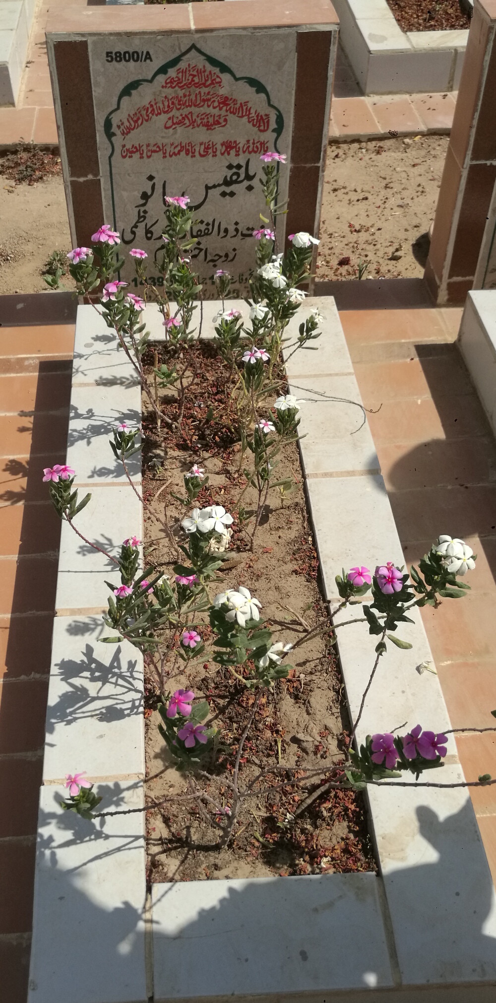 15800 – Bilquees Bano