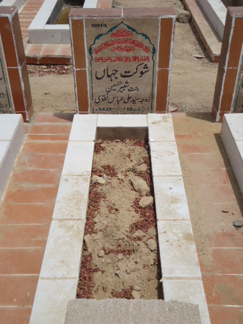 15091 – Shoukat Jahan