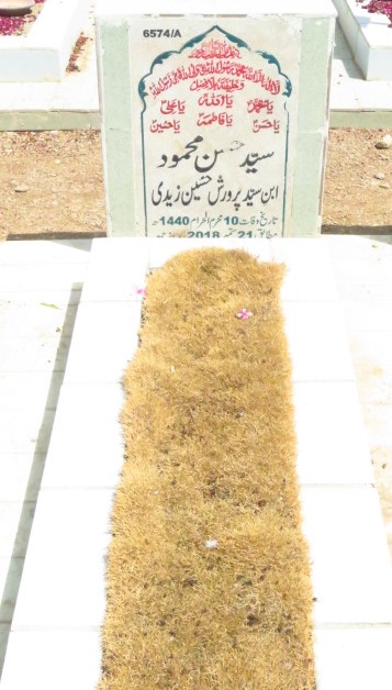 16574 – Syed Hasan Mahmood