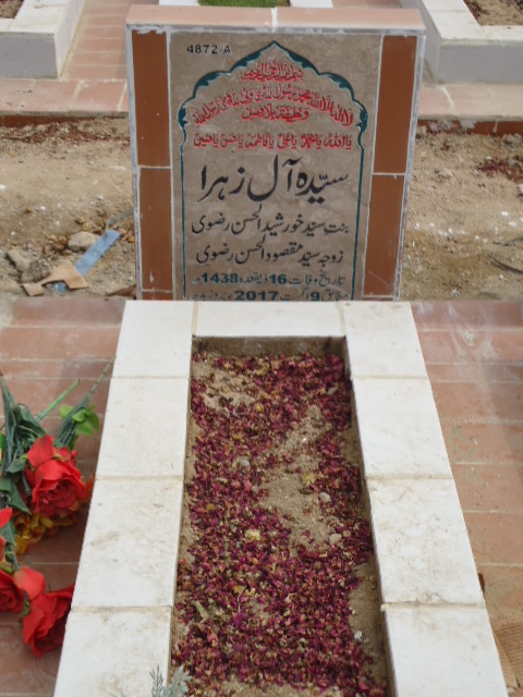14872 – Syeda Alay Zehra