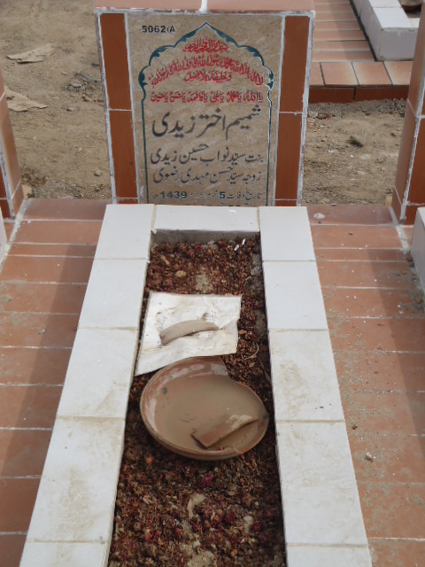 15062 – Shamim Akhtar Zaidi