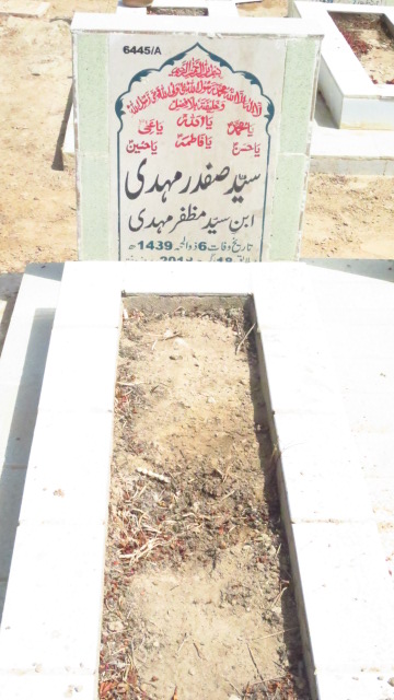 16445 – Syed Safdar Mehdi