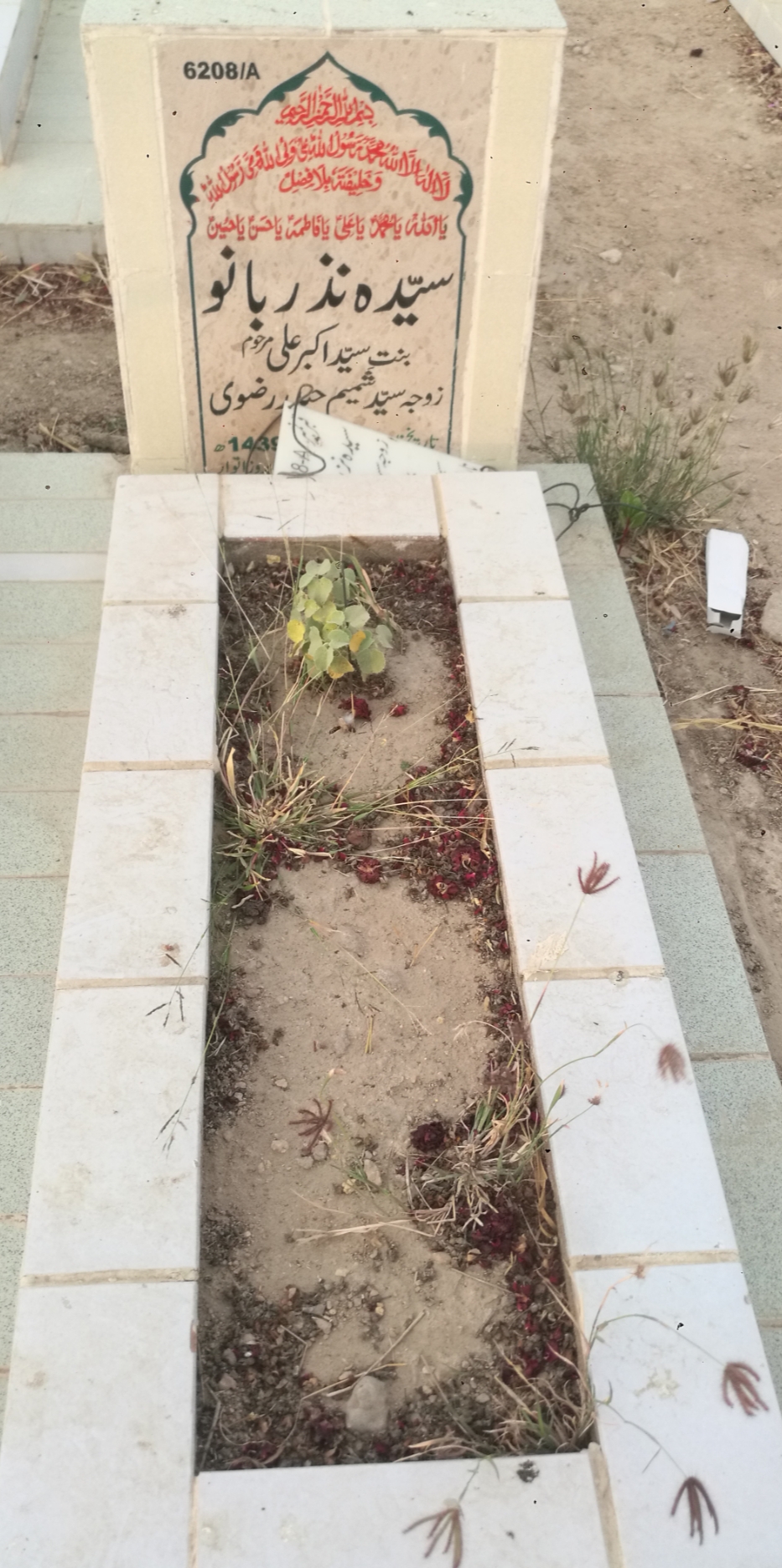 16208 – Syeda Nazar Bano