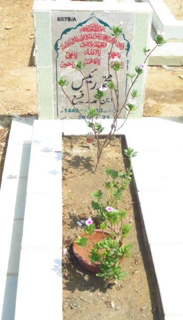 16578 – Muhammad Raees