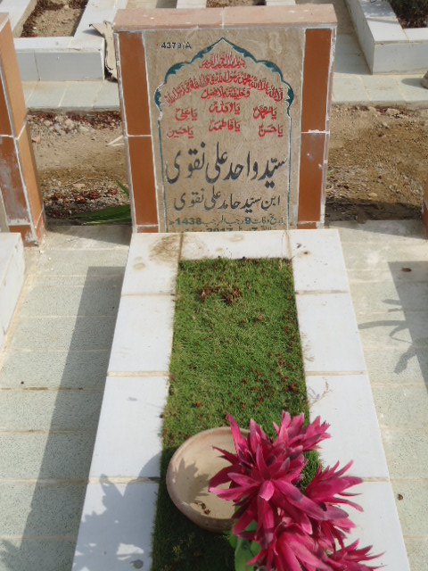 14379 – Syed Wahid Ali Naqvi