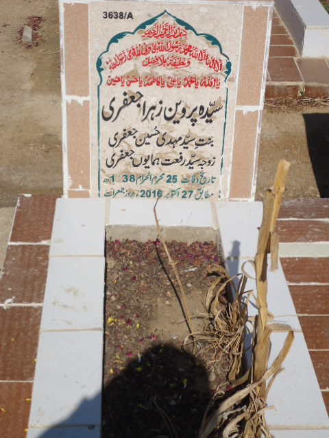 13638 – Syeda Parveen Zehra Jaffery