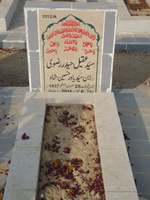 13112 – Syed Aqeel Haider Rizvi