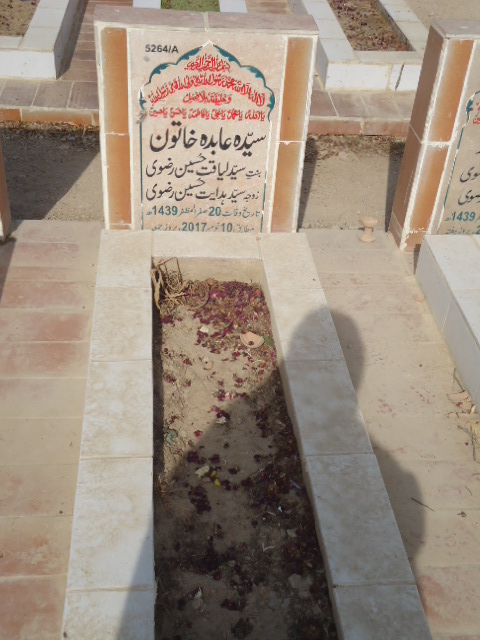 15264 – Syeda Abida Khatoon