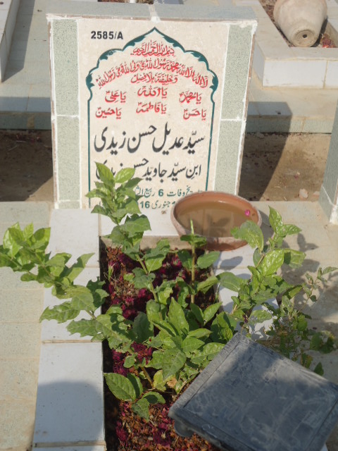 12585 – Syed Adeel Hasan Zaidi