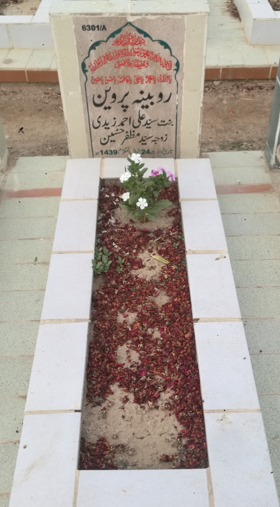 16301 – Rubina Parveen